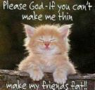 evilkitty.jpg